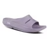 OOfos Unisex OOahh Slide- Mauve 1 OOfos Unisex OOahh Slide- Mauve -Shoe Zone Shop 1100MAUVE shot2 932x680 588e3124 4531 4ec2 b42d 7de81ff8f029