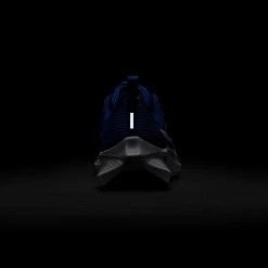 Nike Youth Pegasus 40 Running Shoe - Game Royal/White/Deep Royal - Regular (D) -Shoe Zone Shop AURORA DX2498 400 PHSBH200 2000