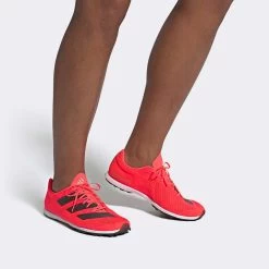 ADIDAS ADIZERO XC Sprint Spike - Signal Pink/Core Black/Cloud White-Regular (D) -Shoe Zone Shop Adizero XC Sprint Shoes Pink EG8454 010 hover standard