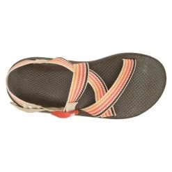Chaco Men's Z Cloud Sandal - Scoop Dusk - Regular (D) -Shoe Zone Shop CHAM JCH108677 012422 S23 TOP 1