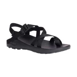Chaco Men's Z Cloud 2 Sandal - Black- Regular (D)