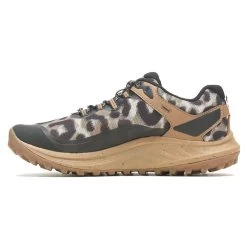 Merrell Women's Antora 3 Trail Running Shoe - Sepia Leopard - Regular (B) -Shoe Zone Shop MRLW J067552 020722 S23 180
