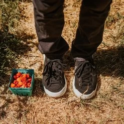 Men's X-Scape NBK Low Sneaker - Black/White - Regular (D) -Shoe Zone Shop mens x scape nbk low black white ls 1 800x 3a6d1a12 7fd3 4c79 ac9d 13c24d0fd9ec