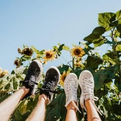 Men's X-Scape NBK Low Sneaker - Black/White - Regular (D) -Shoe Zone Shop mens x scape nbk low black white ls 2 800x 19e1401c ae96 4599 a957 64c89760f645